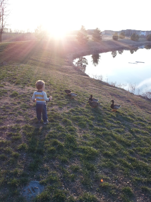 I'm surprised these "DU!"s stuck around while he excitedly screamed about ducks.